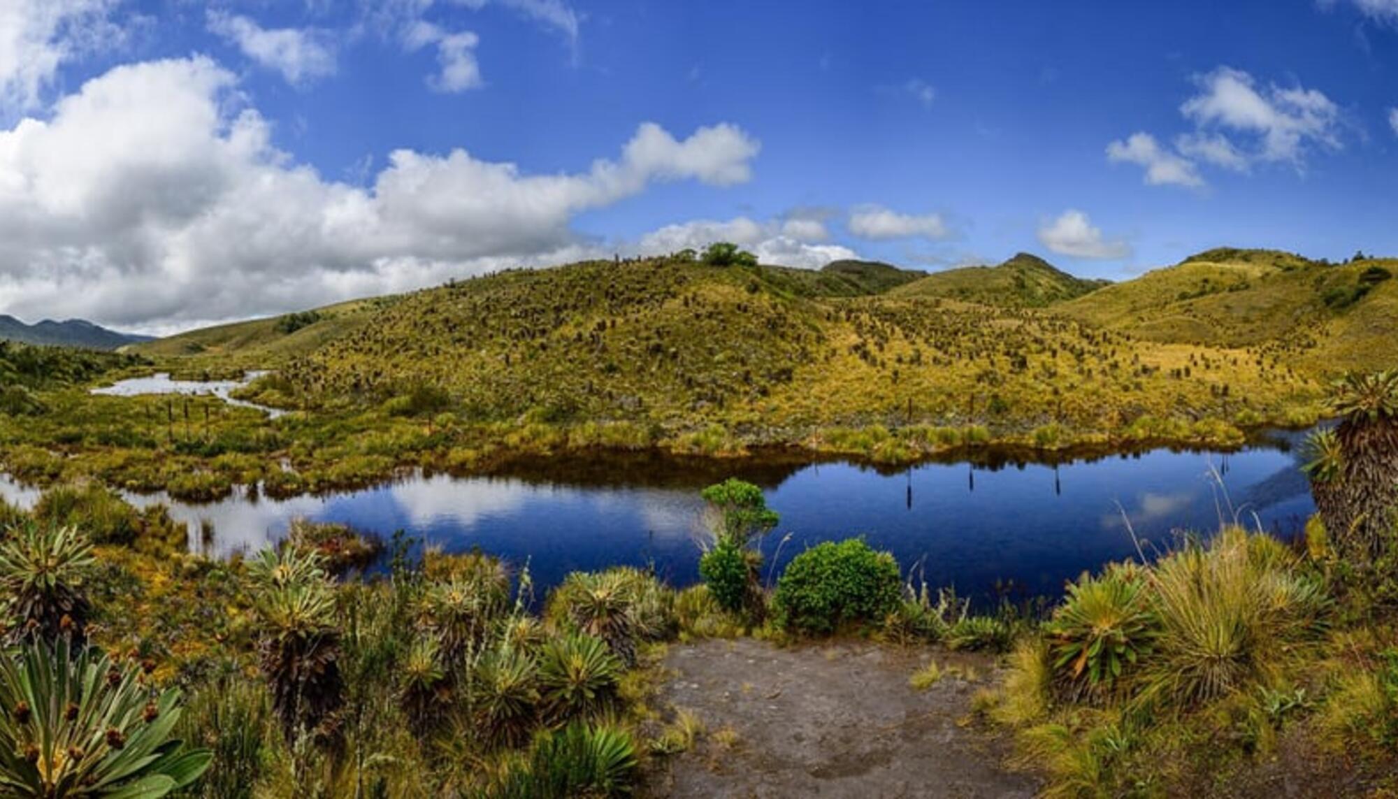 Páramo de Guacheneque